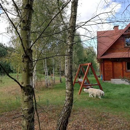 Wsrod Pol I Lasow Dubicze Cerkiewne Bagian luar foto