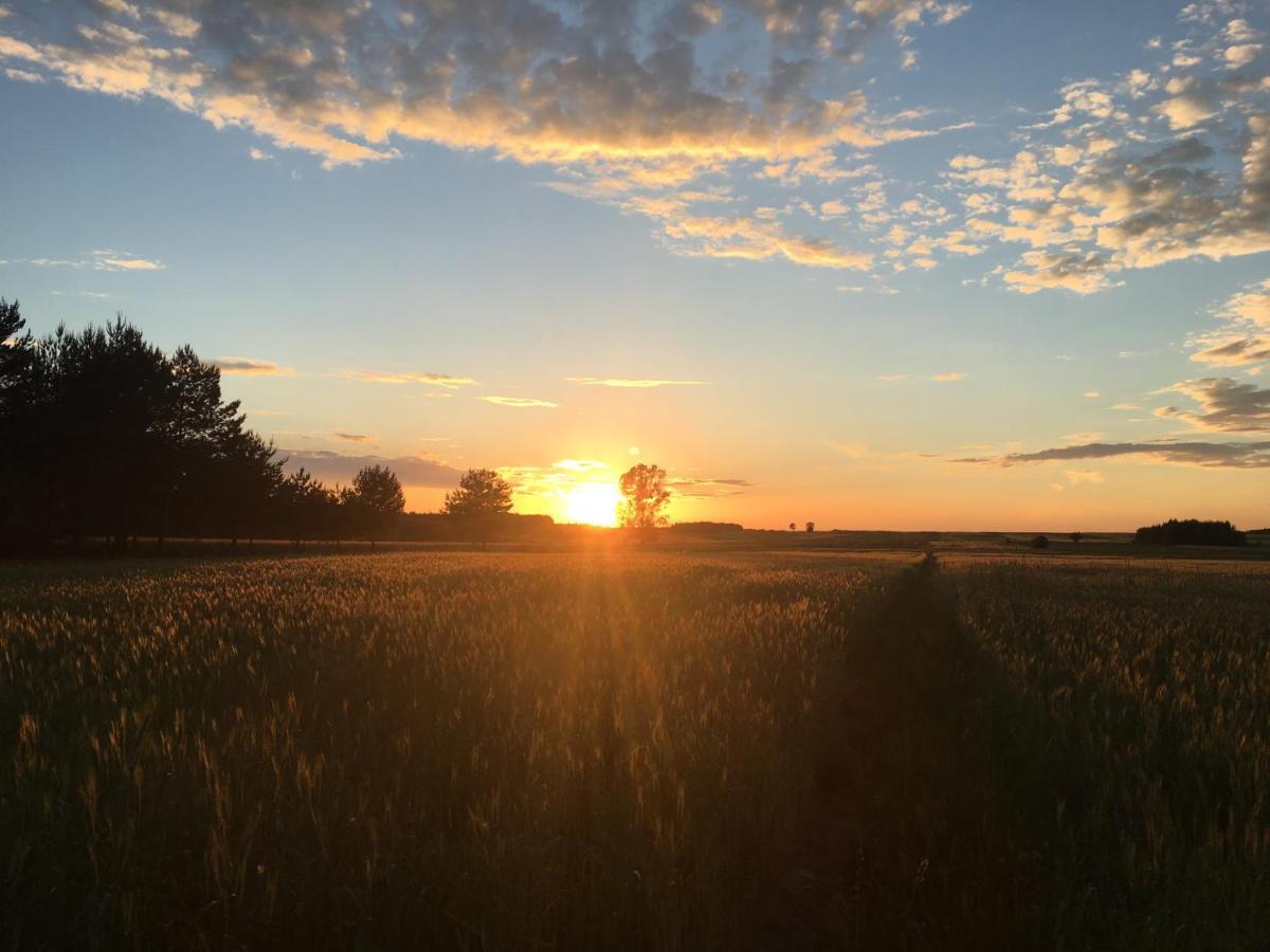 Wsrod Pol I Lasow Dubicze Cerkiewne Bagian luar foto
